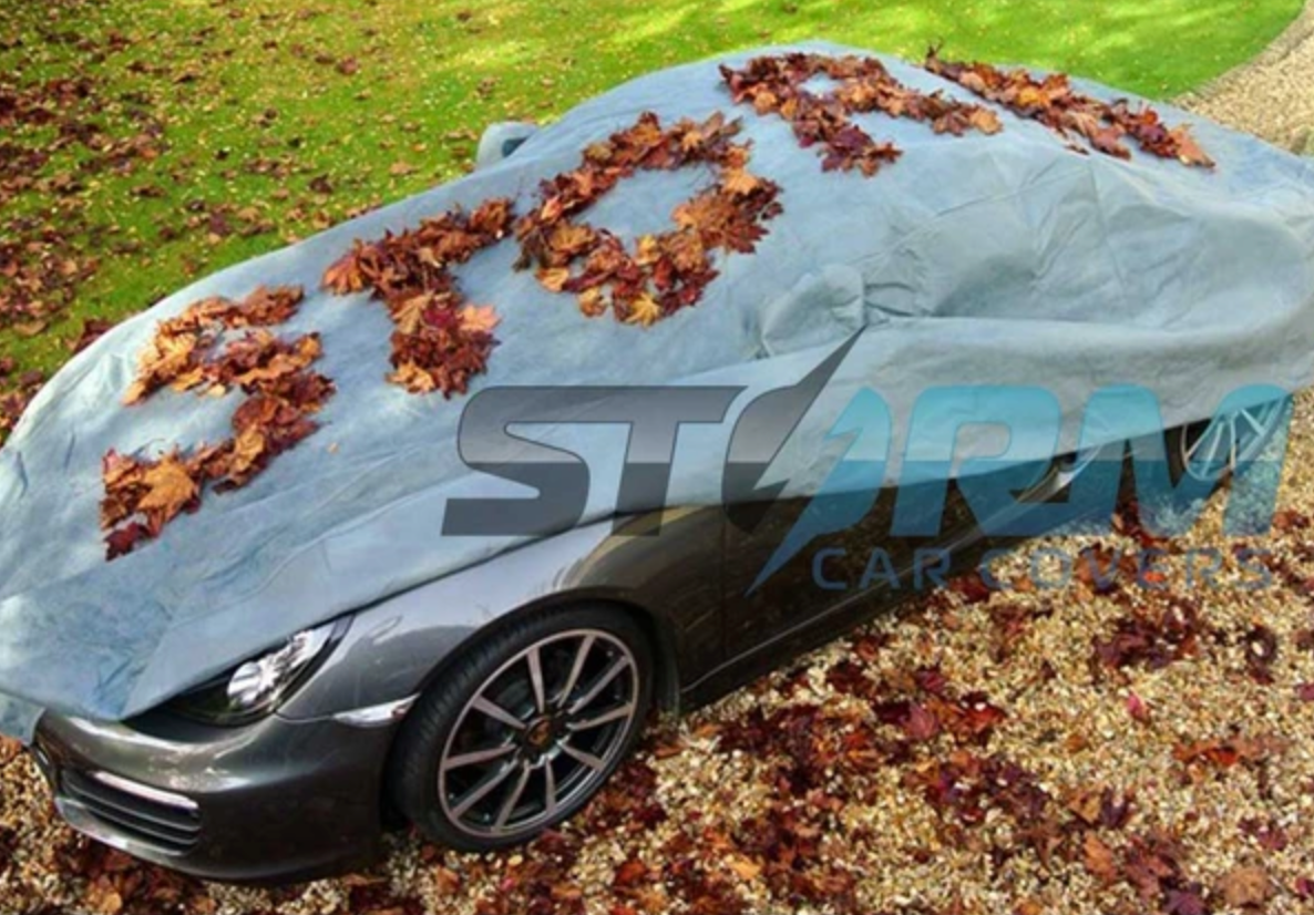 Capturing the Essence: Storm Car Covers Launches Monthly Photo Contest for Enthusiasts
