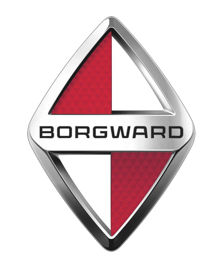 Borgward Car Covers