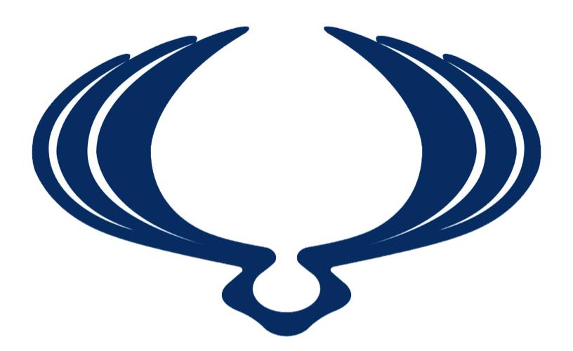 Ssang Yong Car Covers