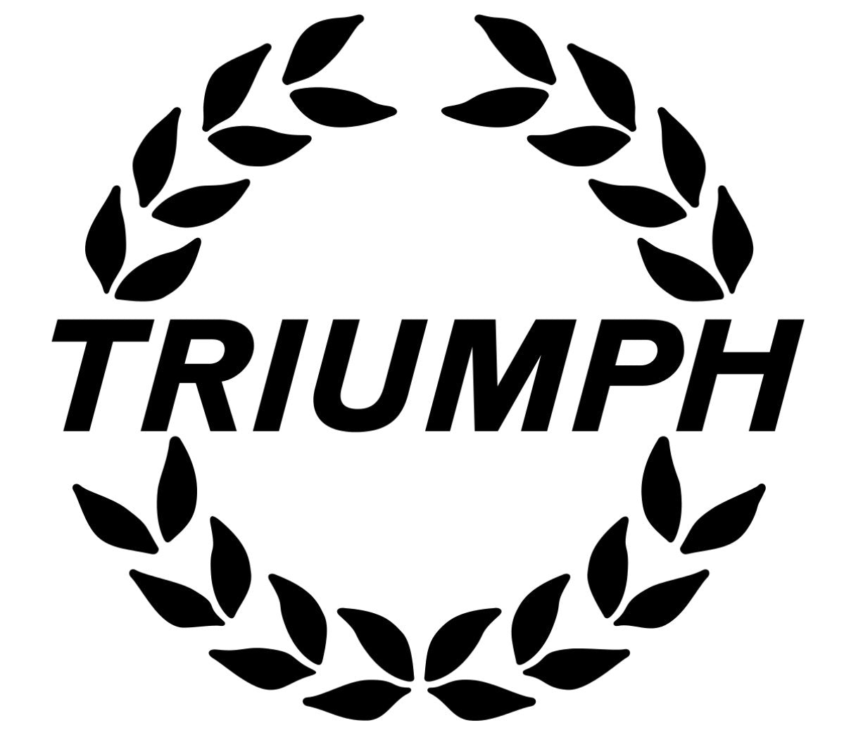 Triumph Car Covers