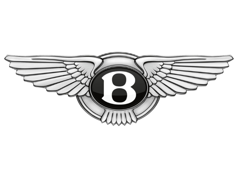 Stormforce outdoor breathable car covers for BENTLEY