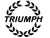 Voyager outdoor lightweight car covers for TRIUMPH